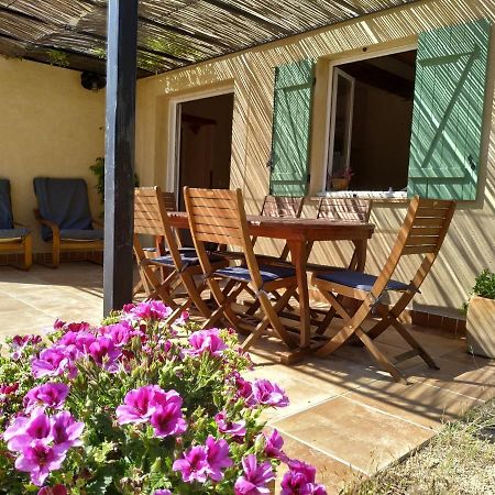 Villa L'Arbre A Soleil Aigues-Vives  Exterior foto