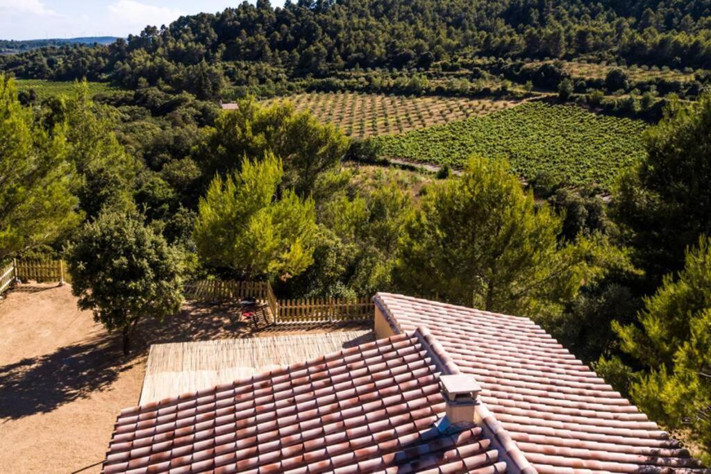 Villa L'Arbre A Soleil Aigues-Vives  Exterior foto