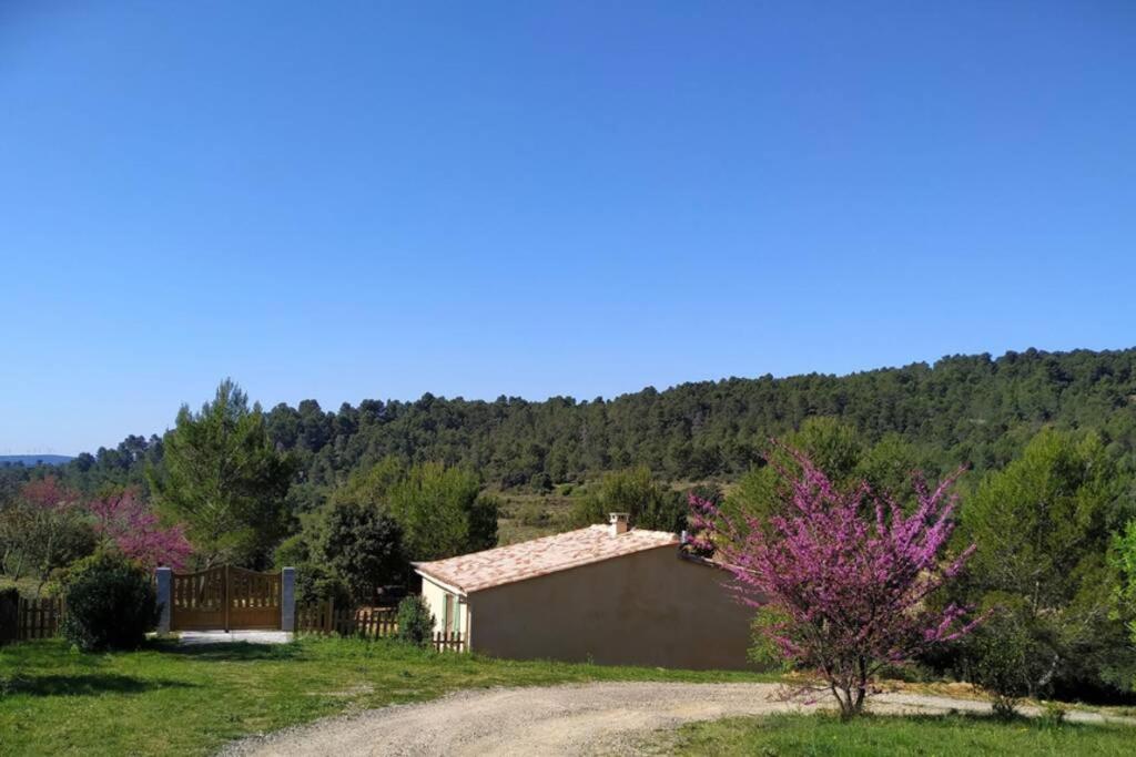 Villa L'Arbre A Soleil Aigues-Vives  Exterior foto